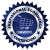 Profissional Ecommerce Certificado